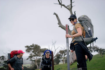 Painting the Heysen Trail - the start of it all!