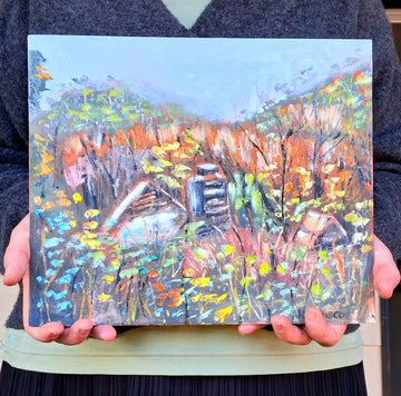 Cleland to Montacute - Section 13 Heysen Trail