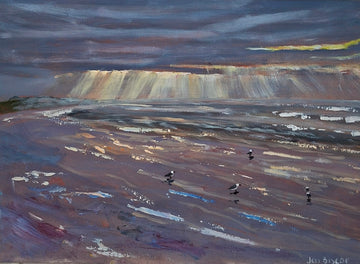 Seagull Sunrise Goolwa