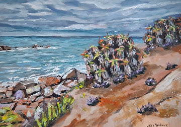 Aloe Beach