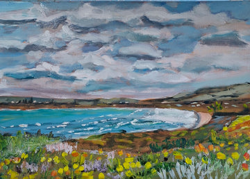 Coastal Daisies Victor Harbor