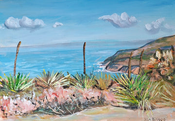 Grass Trees at Waitpinga Cliffs