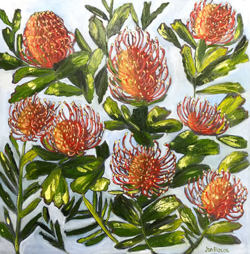 Pincushion Protea