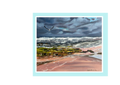 Print of painting of an Albatross on Parsons Beach by Jen Biscoe