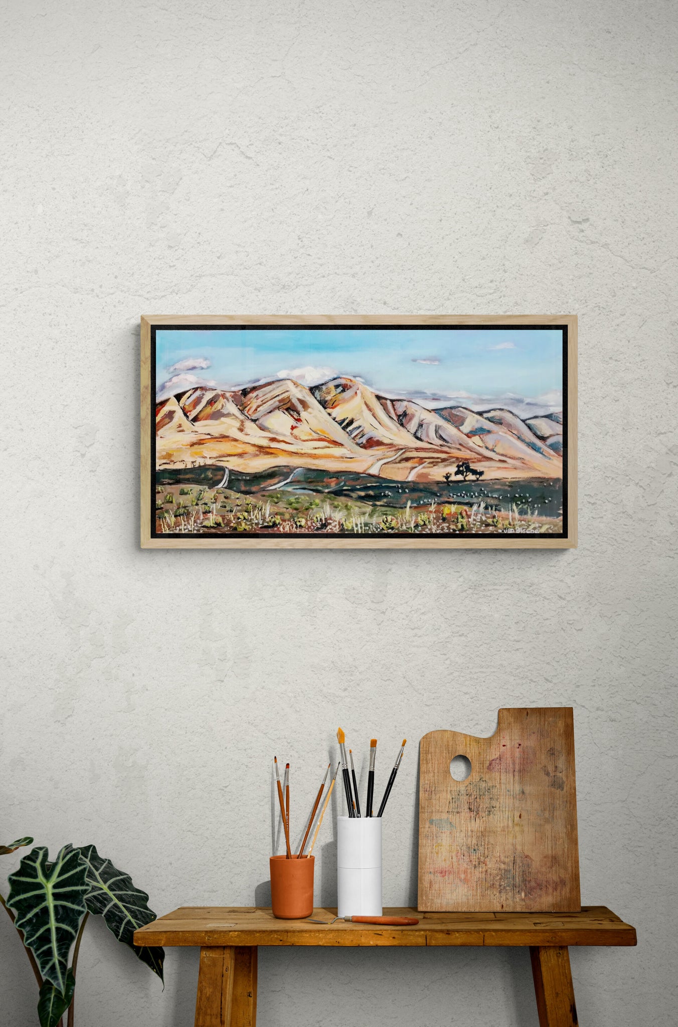 'Flinders Ranges Holowiliena Station' Canvas Print