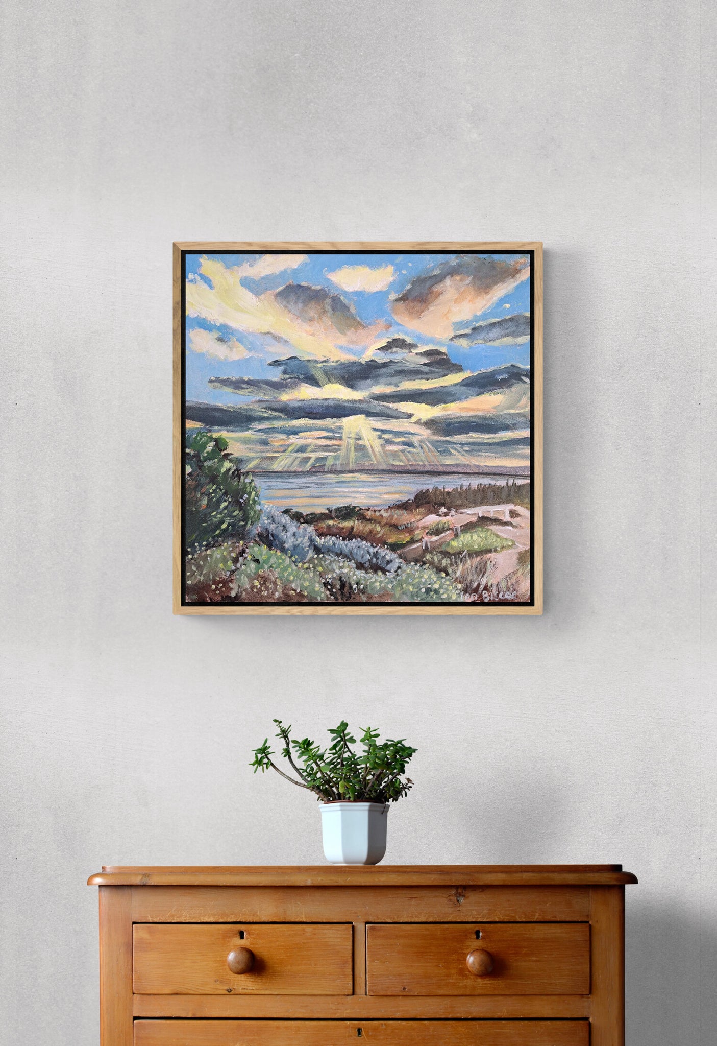 'Sunset and Saltbush' Canvas Print